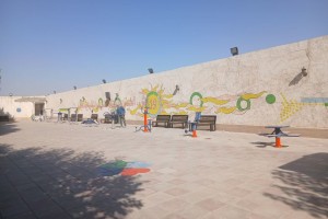 شاداب‌سازی محیطی پارک بانوان ریحانه با هدف ارتقای نشاط اجتماعی