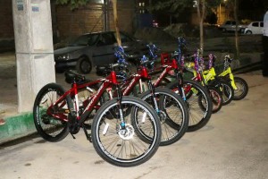 بازدید معاونین استاندار تهران از مرکز توانبخشی معلولین ذهنی در صالحیه