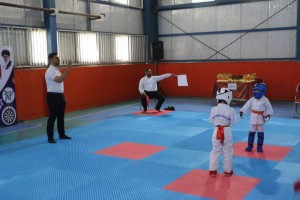 المپیاد دانش‌آموزی کاراته شهر صالحیه