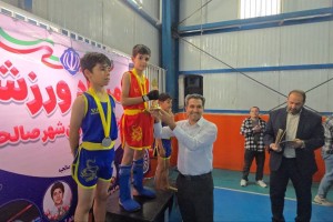 درخشش استعدادهای نونهال ووشو در صالحیه