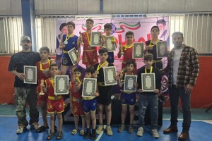 درخشش استعدادهای نونهال ووشو در صالحیه