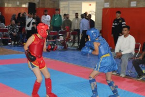 درخشش استعدادهای نونهال ووشو در صالحیه