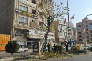 عملیات هرس درختان رفیوژ خیابان ولیعصر(عج)