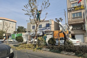 عملیات هرس درختان رفیوژ خیابان ولیعصر(عج)