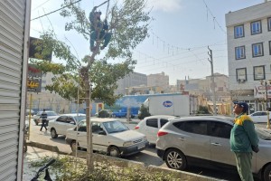 عملیات هرس درختان رفیوژ خیابان ولیعصر(عج)