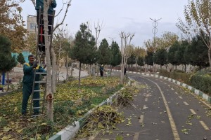  هرس اصولی درختان پارک خطی نهج&zwnj;البلاغه با هدف ارتقای ایمنی و شادابی فضای سبز