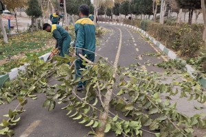  هرس اصولی درختان پارک خطی نهج&zwnj;البلاغه با هدف ارتقای ایمنی و شادابی فضای سبز