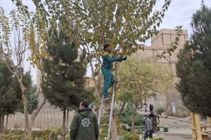  هرس اصولی درختان پارک خطی نهج&zwnj;البلاغه با هدف ارتقای ایمنی و شادابی فضای سبز
