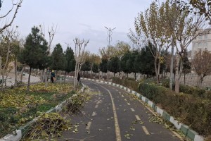  هرس اصولی درختان پارک خطی نهج&zwnj;البلاغه با هدف ارتقای ایمنی و شادابی فضای سبز