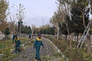  هرس اصولی درختان پارک خطی نهج&zwnj;البلاغه با هدف ارتقای ایمنی و شادابی فضای سبز
