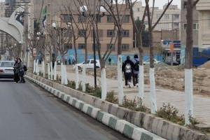  رنگ مرهم؛ مراقبتی پیشگیرانه برای درختان خیابان ولیعصر(عج)