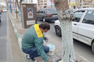  رنگ مرهم؛ مراقبتی پیشگیرانه برای درختان خیابان ولیعصر(عج)