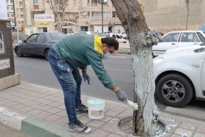  رنگ مرهم؛ مراقبتی پیشگیرانه برای درختان خیابان ولیعصر(عج)