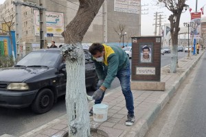  رنگ مرهم؛ مراقبتی پیشگیرانه برای درختان خیابان ولیعصر(عج)