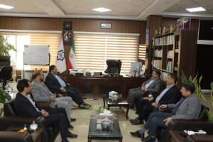 دیدار مدیرکل بازرسی استانداری تهران با مدیریت شهری صالحیه