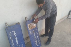 گامی در مسیر هویت&zwnj;بخشی به کالبد شهری؛ استمرار عملیات ساماندهی و نصب تابلوهای معابر در صالحیه