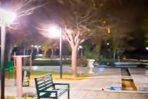 ارتقای روشنایی پارک لاله