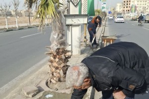 نورپردازی در مدخل ورودی شهر؛ بازتعریف امنیت و زیبایی در خیابان ولیعصر (عج)