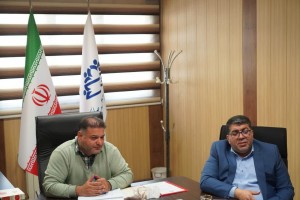 ترسیم افق 1405 صالحیه در صحن شورا