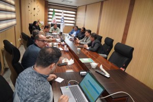 ترسیم افق 1405 صالحیه در صحن شورا