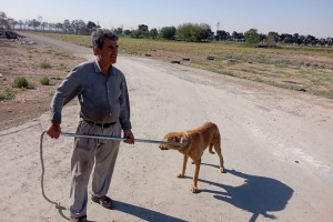 عملیات لکه&zwnj;گیری آسفالت کوچه اسفند یکم در راستای بهسازی معابر شهری اجرا شد