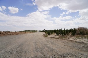 بازدید مدیریت شهری از روند ساماندهی و احداث شبکه معابر در پارک&zwnj; جنگلی