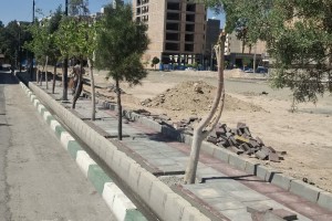 عملیات پیاده&zwnj;روسازی در خیابان 9 دی؛ مهندسی آرامش در معابر شهری  
