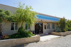 خودکفایی صالحیه در تولید گل&zwnj;های فصلی