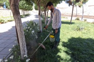 چمن&zwnj;زنی و بازپیرایی فضای سبز فاز سوم بوستان نهج&zwnj;البلاغه