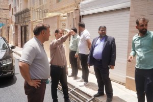 شهردار و پارلمان شهری صالحیه کیفیت نوسازی &laquo;نگارستان شانزدهم&raquo; را زیر ذره&zwnj;بین بردند