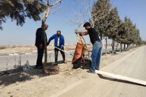 23 پایه چراغ روشنایی در بلوار حضرت ولیعصر(عج) نصب می شود