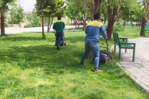 چمن زنی و بازپیرایی فضاهای سبز شهری/بوستان لاله در دست بازپیرایی قرار گرفت