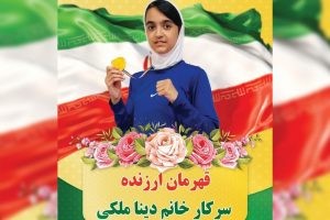 قهرمان ارزنده سرکار خانم «دینا ملکی»