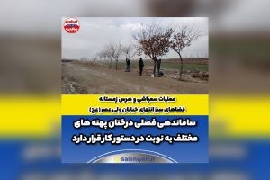 عملیات سمپاشی و هرس زمستانه فضاهای سبز انتهای خیابان ولی عصر (عج)