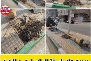 زمزمه های استقبال از بهار در صالحیه