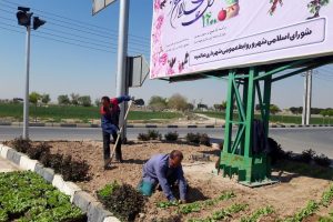 گلکاری بلوار امامزاده باقر(ع) از محصولات گلخانه سبز اقاقیا