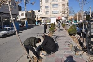 روشنایی خیابان شهید بختیاری در گام آخر