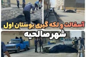 لکه گیری و آسفالت بوستان یک