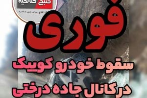 فوری؛ سقوط یک دستگاه خودرو کوییک در کانال جاده درختی