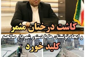 ایجاد توتستان ها و درختان مثمر در صالحیه