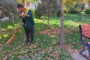 جمع آوری برگ های پاییزی از سطح بوستان‌ها به منظور تهیه کود گیاهی برای استفاده در گلخانه اقاقیا