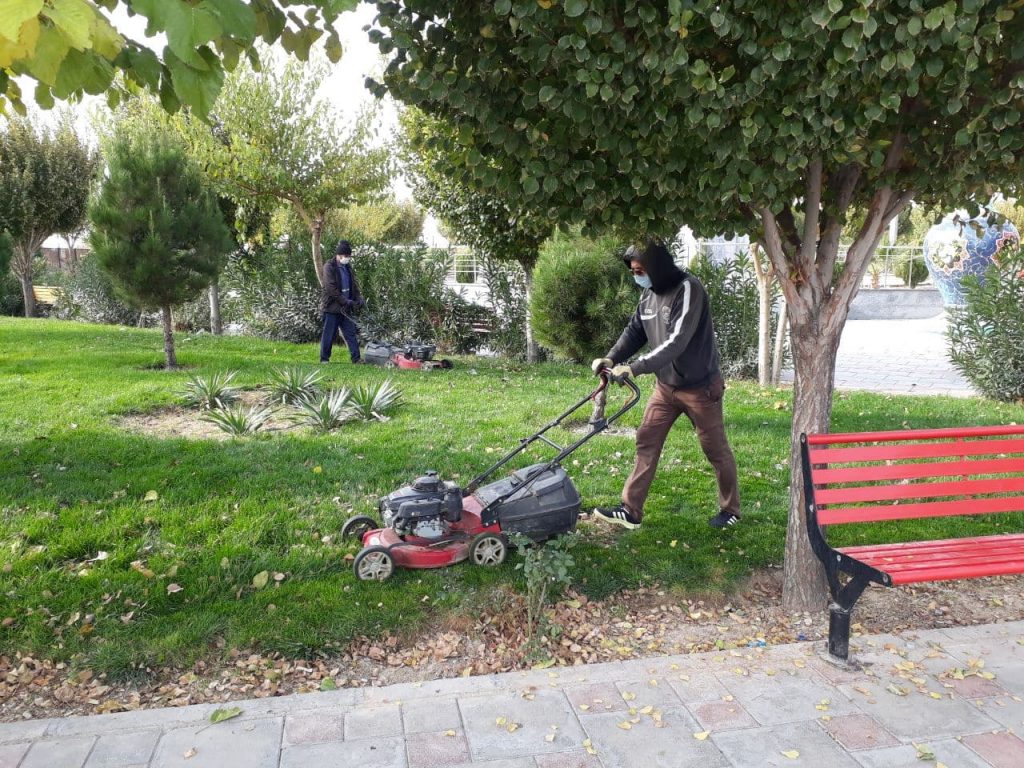 ساماندهی فصلی بوستان های شهر صالحیه | هرس زمستانه درختان برای استقبال از بهاری سرسبز