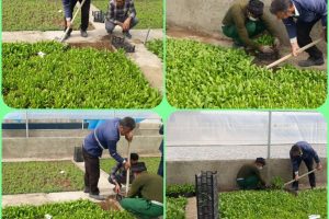 خودکفایی مدیریت شهری در تامین گل و گیاه برای نگهداری از فضاهای سبز
