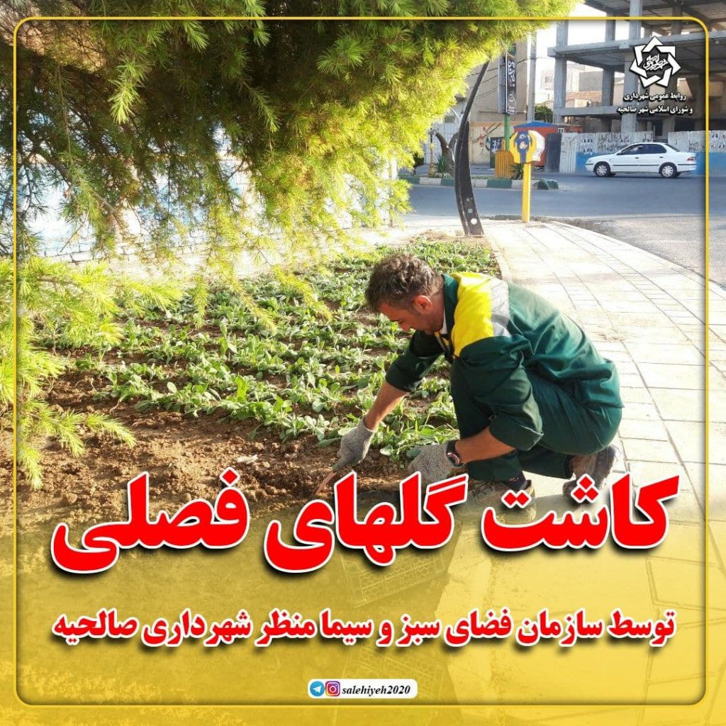 کاشت گلهای فصلی توسط سازمان فضای سبز و سیما منظر شهرداری صالحیه