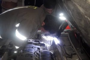 نجات یک گربه از داخل موتور خودرو در صالحیه