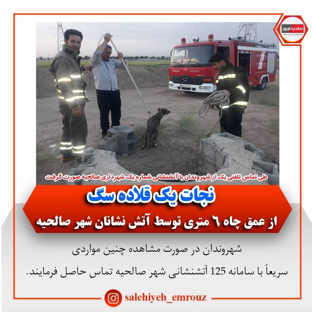 نجات یک قلاده سگ از عمق چاه ۶ متری توسط آتش نشانان شهر صالحیه