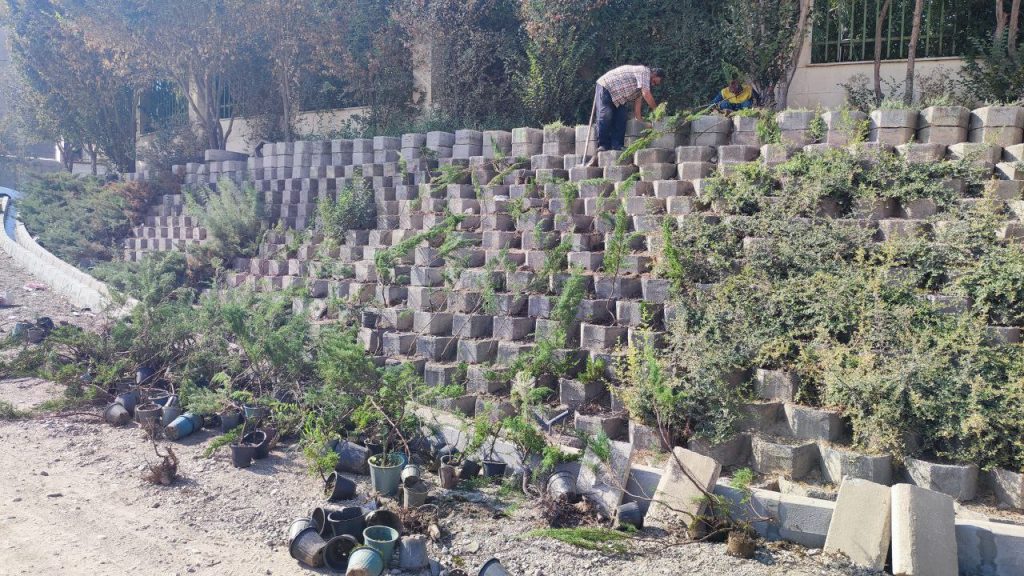 کاشت 500 اصله درختچه در انتهای فاز سوم بوستان نهج البلاغه