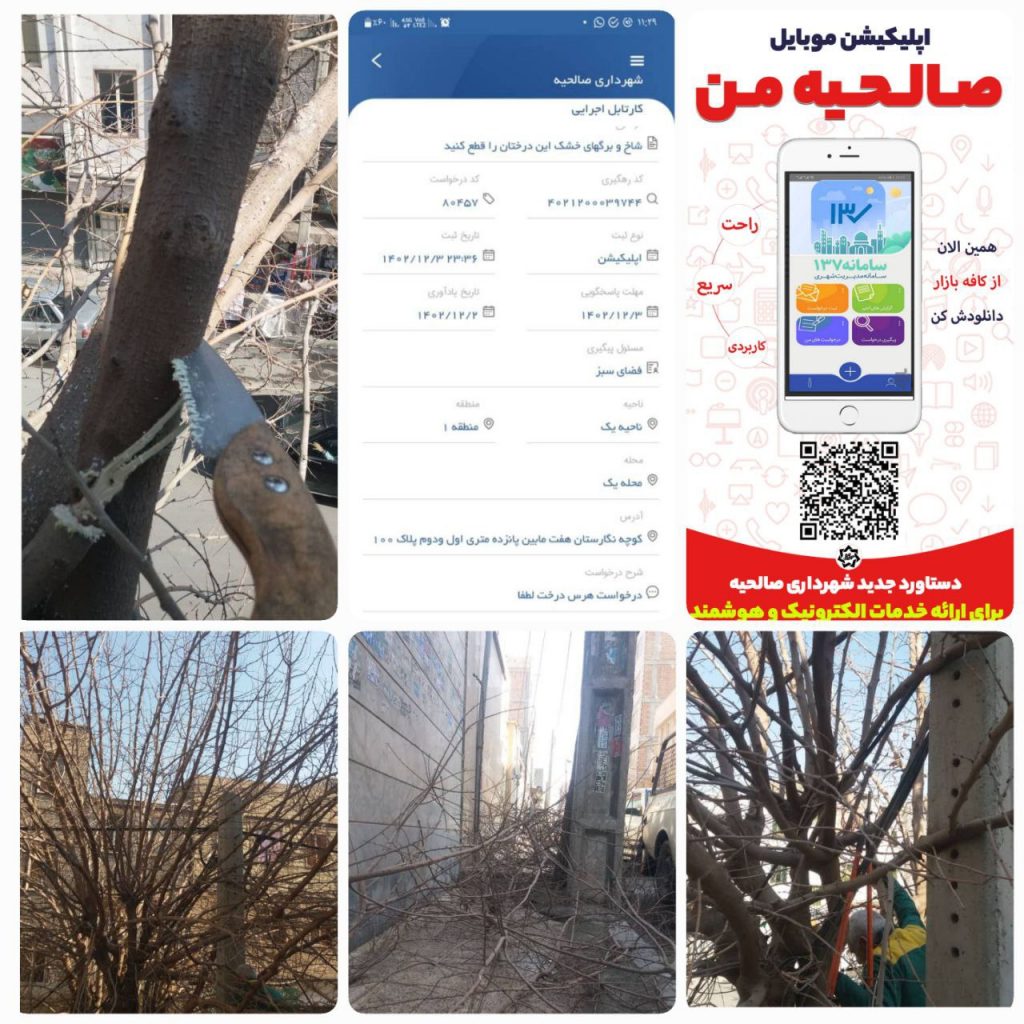 رفع مطالبات مردم در اپلیکیشن "صالحیه من" طی ۲۴ ساعت